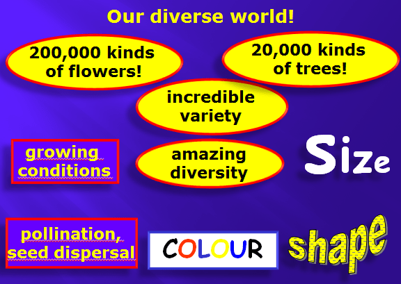 OUR DIVERSE WORLD