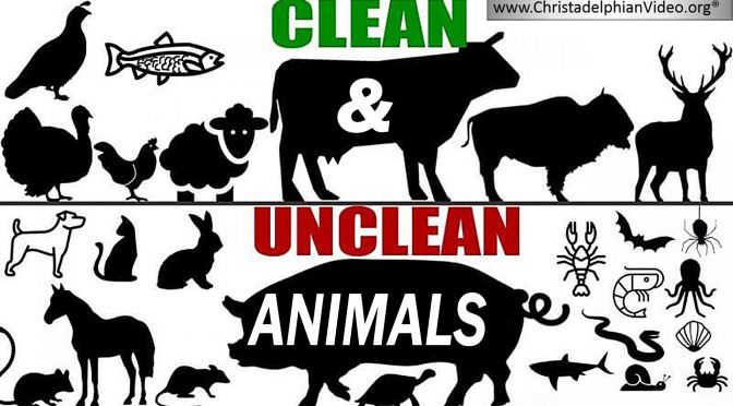 Clean and Unclean Animals