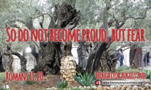Daily Readings and Thought for August 2nd. "DO NOT BECOME PROUD, BUT FEAR"