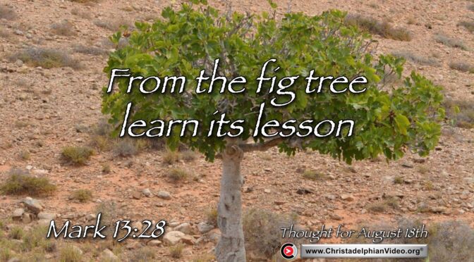 Daily Readings and Thought for August 18th.  "FROM THE FIG TREE LEARN ITS' LESSON"