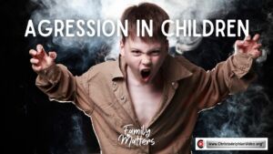 Family Matters #4 Aggression in Children #2