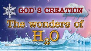 God's Creation; The Wonders of H20!
