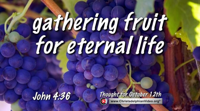 Daily Readings and Thought for October 12th. "GATHERING FRUIT FOR ETERNAL LIFE"  