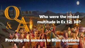 Q&A: Who were the 'mixed multitude' in Ex 12: 38?