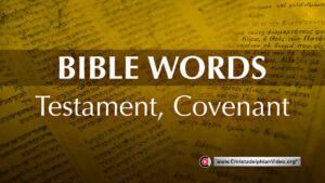 Bible 'Words' Study; 'Testament, Covenant'