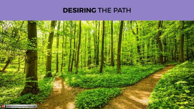 Pause to consider: Desiring The Path