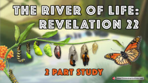The River of life: Revelation 22 - 2 Videos (Colin Story)