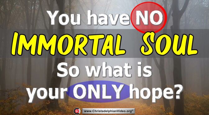 You have 'NO' Immortal Soul...so what is your only hope?