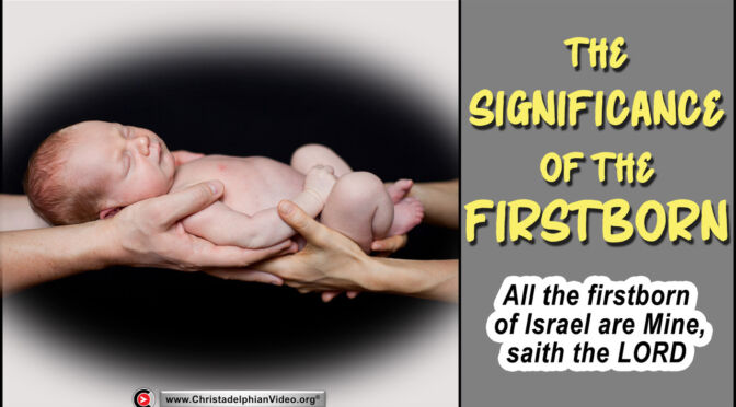 The Significance of the Firstborn!