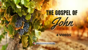 The Gospel of John - 4 Videos ( Ray Edgecombe) 2023