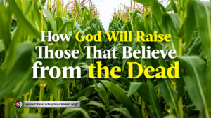 How God Will Raise Those That Believe from the Dead?