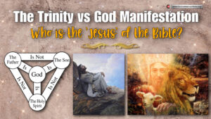 The Trinity Versus God Manifestation: Who is the 'Jesus' of the Bible?