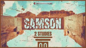 Samson - 2 Fraternal Studies (Andrew Jenner)