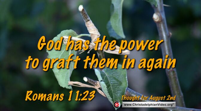 Daily readings and Thought for August 2nd. "GOD HAS THE POWER TO GRAFT THEM IN AGAIN"