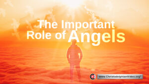 The important role of the angels