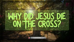 Why did Jesus die on the Cross?