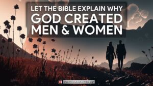 Let the Bible explain why God created men and women.
