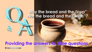 Bible Q&A: Why the Bread and the 'Cup' and not the Bread and the 'Wine'?