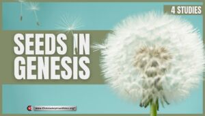 Seeds in Genesis - 4 Studies (Jamie Scott)