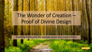 The wonder of Creation...Proof of Divine Design