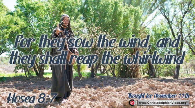 Daily Readings and Thought for November 11th. “For they sow the wind”