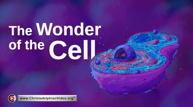 The Wonder of the cell (Jacob Hodge)