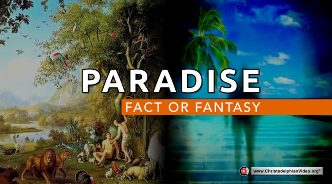 Paradise...Fact or Fantasy?