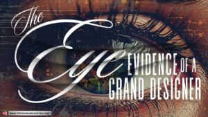 The eye, evidence of a grand designer