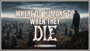 Where do Humans go when they die?