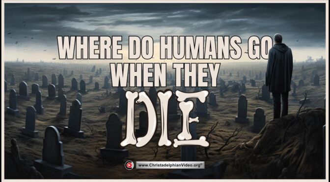 Where do Humans go when they die?