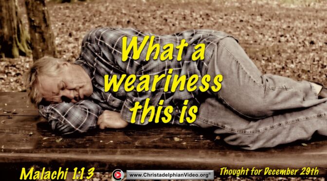 Daily Readings and Thought for December 29th. “What a weariness this is”