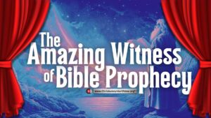 The Amazing Witness Of Bible Prophecy”