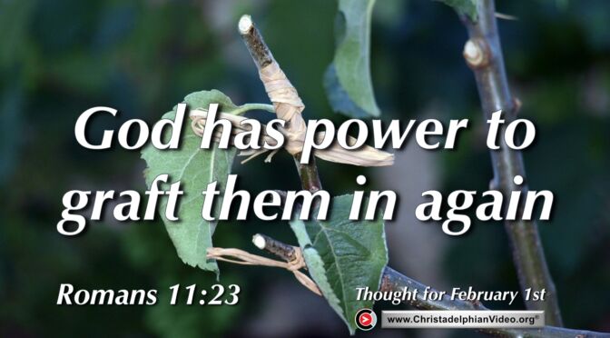 Daily Readings and Thought for February 1st. “God has power to graft them in again”