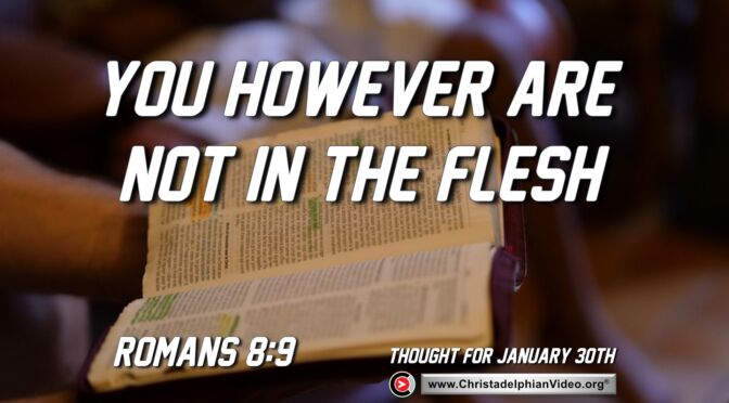 Daily Readings and Thought for January 30th. "YOU HOWEVER ARE NOT IN THE FLESH"