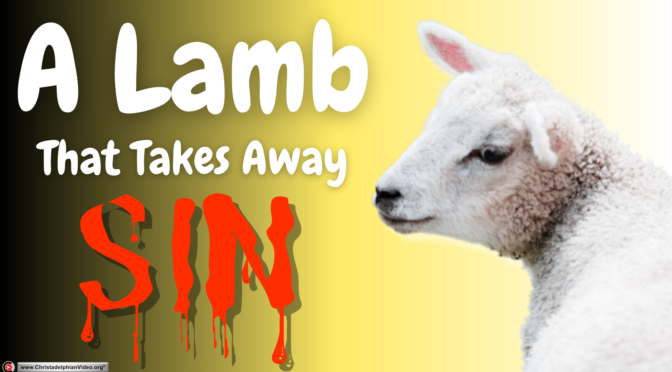 A Lamb That Takes Away Sin