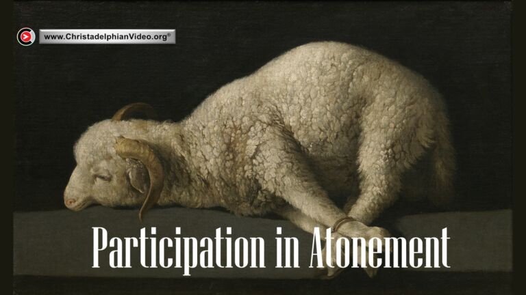 Participation in Atonement (James Larson)