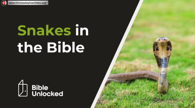 What Snakes Represent in the Bible.