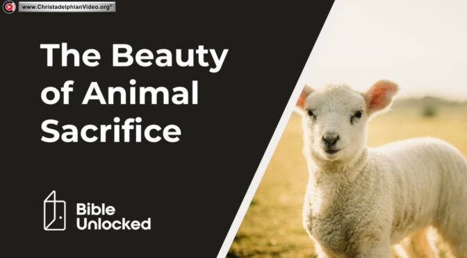 The Purpose of Animal Sacrifice