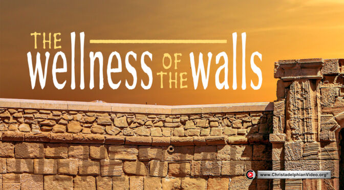 The Wellness of the Walls (Stephen Macfarlane)