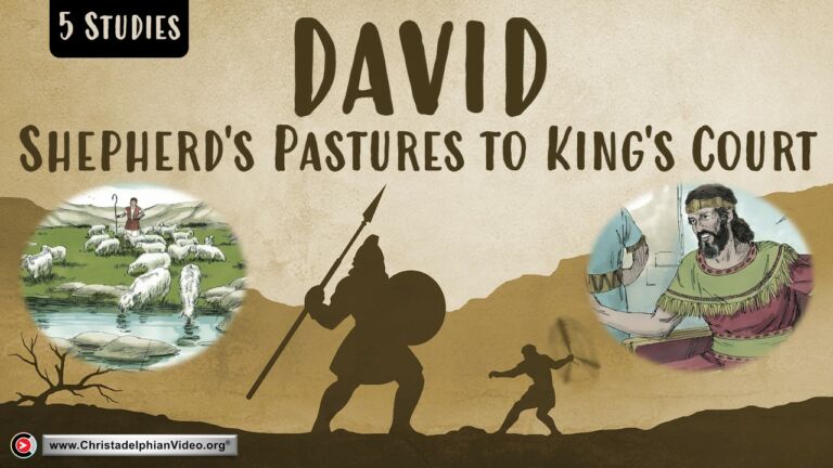 David: Shepherd's Pastures to King's Court - 5 Studies (James Diliberto)