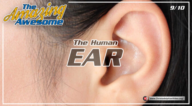 The Awesome Amazing...'EAR'