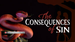 The consequences of sin