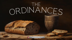 'The Ordinances' (Ian Macfarlane)