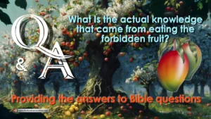 Q&A: What Is the knowledge that came from eating the forbidden fruit?