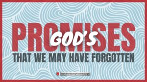 God's Promises that we may have forgotten!
