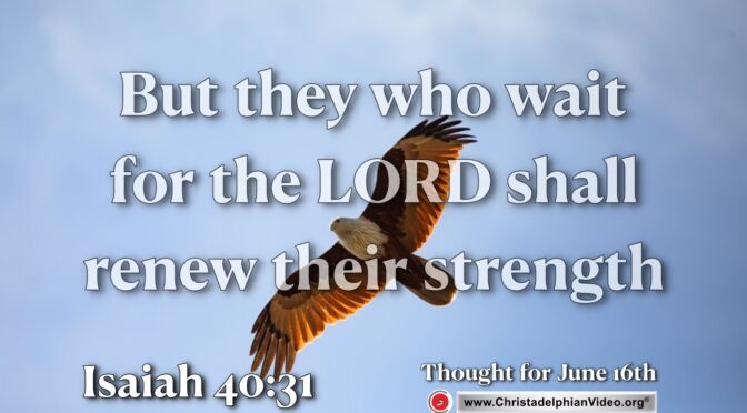 Daily Readings & Thought for June 16th. "BUT THEY WHO WAIT FOR THE LORD SHALL ..."