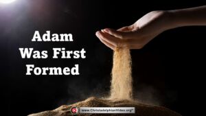 Adam Was First Formed